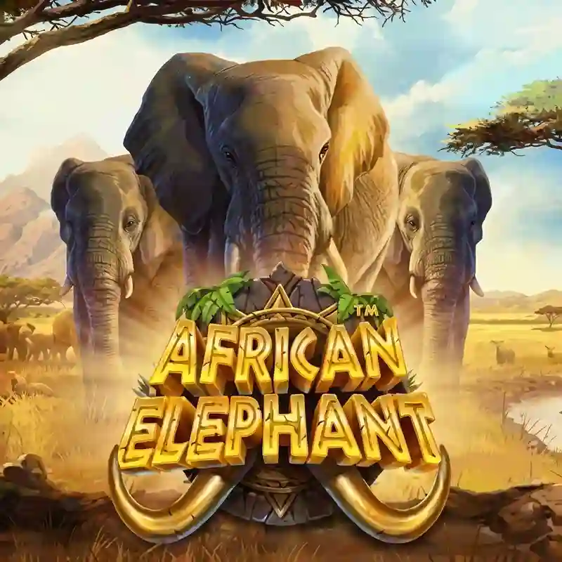 African Elephant slot